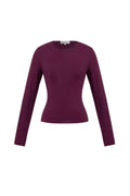 Knitted Nylon Women's Long Sleeve Top Basic Solid Color